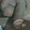 foto do perfil zipo